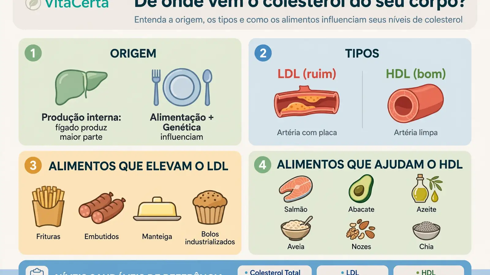 De Onde Vem o Colesterol? Entenda a Origem e Como Manter Níveis Saudáveis